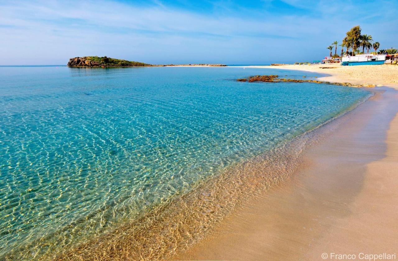 My Holiday Ayia Napa Eksteriør billede